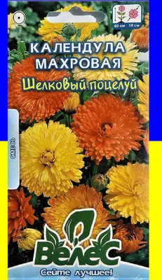 Календула махровая Индийский принц (Аэлита) | Инспектор Семкин