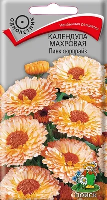 Семена цветов Календула махровая \"Шелковый поцелуй\", смесь окрасок, О, 0,5  г (2 шт) - РусЭкспресс