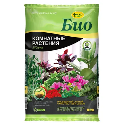 Калерия – купить в Москве, цена 350 руб., дата размещения: 19.11.2023 –  Растения и семена