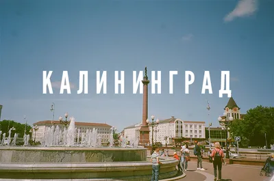 Что посмотреть в Калининграде: топ 26 достопримечательностей города 2024