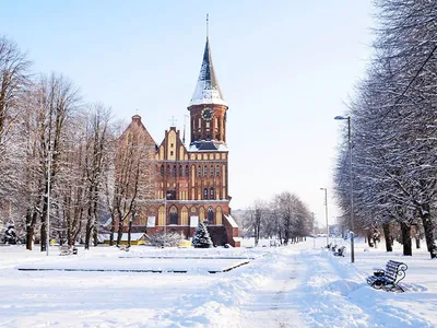 Калининград зимой фото фотографии