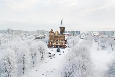 Почему Калининград в январе так манит туристов -