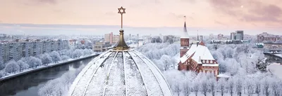 Что посмотреть в Калининграде зимой? – интересные места в 2024 году, факты  о Калининграде – Tripster.ru