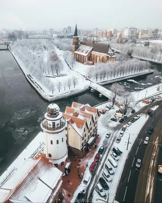 Тур в Калининград на новогодние каникулы (4 дня + авиа или ж/д) - Туры в  Калининград из Москвы от туроператора