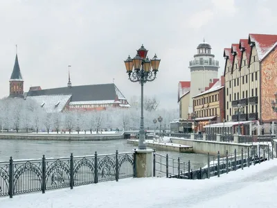 Что посмотреть в Калининграде зимой? – интересные места в 2024 году, факты  о Калининграде – Tripster.ru