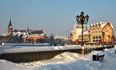 Что посмотреть в Калининграде зимой 2023/2024 туристу ❄️ | Владимир С | Дзен