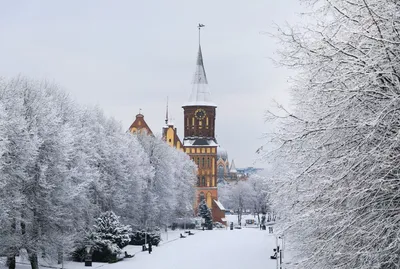 Winter weather in Kaliningrad. New attraction in Svetlogorsk - YouTube