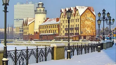 Отдых в Калининграде зимой 2024—2025: что посмотреть, куда сходить, какая  погода, стоит ли ехать