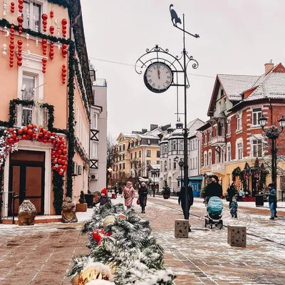 Что посмотреть в Калининграде зимой самостоятельно?