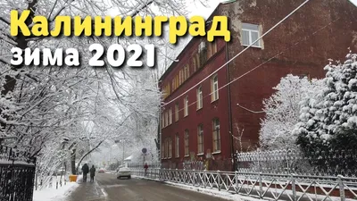 Туры в Калининград на Новый год 2025, цены на новогодний отдых | Большая  Страна
