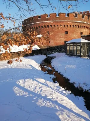 Первая зима в Калининграде