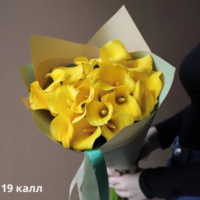 Калла желтая 10 шт купить по цене 1.350,00 руб.