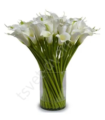 Букет из калл и орхидей - 17 шт. за 12 690 руб. | Бесплатная доставка  цветов по Москве