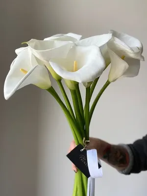 1️⃣ Белые каллы в вазе – заказать в Астана от PRO-BUKET!