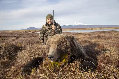 Камчатский медведь в фотографиях: мощь и красота природы