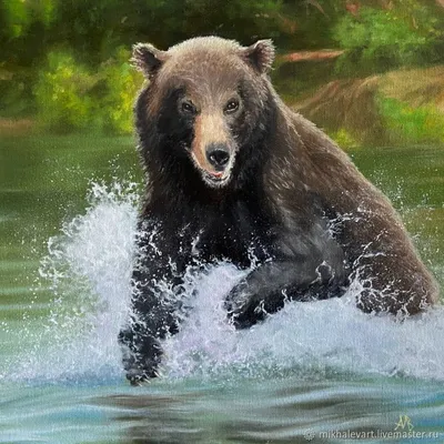 Уникальные изображения Камчатского медведя для скачивания