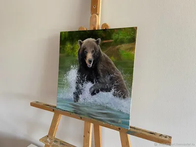 Изысканные фотографии Камчатского медведя для истинных ценителей