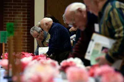 Semmes Camellia Festival - City of Semmes, Alabama