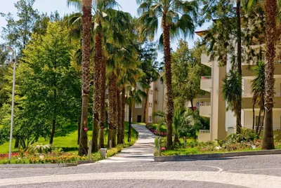 Kamelya Selin Hotel, гостиница, Анталья, район Манавгат, Эвренсеки — Яндекс  Карты
