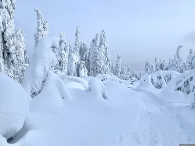 Новогодние каникулы в Пермском крае (Пермь – Усолье – Соликамск – Каменный  город – Белая гора – Кунгур, 4 дня + авиа или ж/д) - Пермский край (Пермь,  Пермский край, Урал)