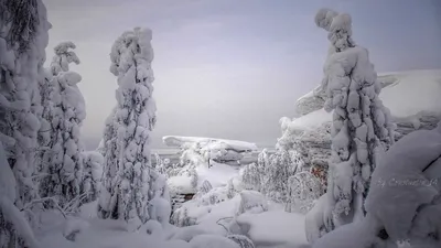 Каменный Город – причудливые скалы в Пермском крае — Ураловед