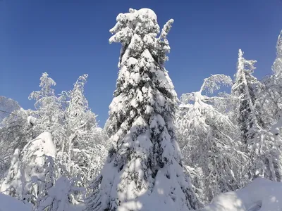 Экскурсия в Каменный город