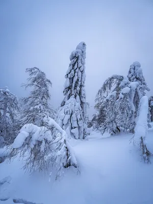 Пермь 🧭Что Посмотреть И Куда Сходить 4в1: усьвинские столбы, каменный город,  декорации «сердце пармы», подвесной мост