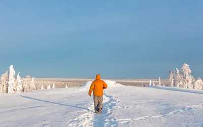 Каменный Город в Пермском крае: описание, как добраться, фото — Наш Урал и  весь мир