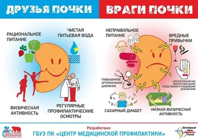 Ривьера Биотек - ТИПЫ КАМНЕЙ, КОТОРЫЕ ОБРАЗУЮТСЯ ПРИ МОЧЕКАМЕННОЙ БОЛЕЗНИ  (МКБ) Мочекаменная болезнь (МКБ) проявляется образованием камней в органах  мочевыводящей системы, чаще всего – в почках и мочевом пузыре. Камни  (конкременты) могут