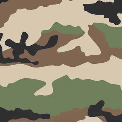 Военные проверили качество камуфляжа Хижак – Техника войны
