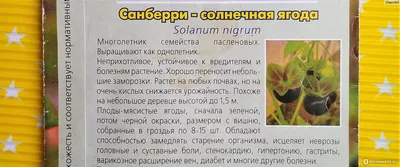 Ирга канадская \"Stargion\"(Старджион) купить в питомнике растений с  доставкой по Барнаулу и Алтайскому краю, саженцы, выращивание, посадка и  уход