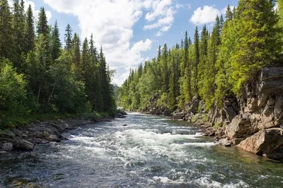 Река Колвица: сплавы, рыбалка, водопады, маршруты, фото, как добраться