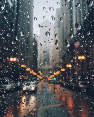 Капли дождя стеклянным кружком - Впечатляющие на фотографиях