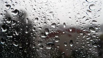 Дождь на стекле - Картинки, которые заставят почувствовать атмосферу