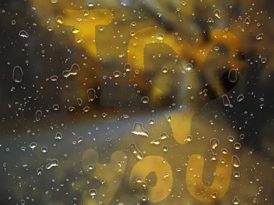 Фото Капли дождя на стекле - Отличный способ ощутить красоту природы