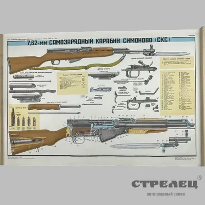 Охолощенный карабин Симонова СКС (ВПО-927) 2-я категория, 7,62x39