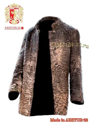 Мужские шубы и куртки из каракуля и каракульчи - низкие цены в Арктур-22