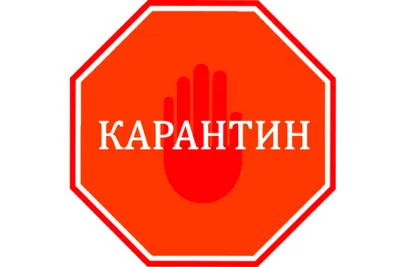 Карантин: простые вещи спасают жизнь | КПИ им. Игоря Сикорского