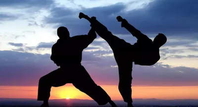 В школах Дальнего Востока введут уроки карате :: Другие :: РБК Спорт