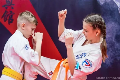 Кимоно для каратэ Kumite ФКР 2602 Bestsport купить