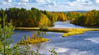 Вся Карелия. Лучшее за 2 дня. Тур с проживанием в Петрозаводске.