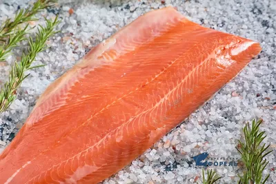 Форель горячего копчения Кала я марьяпоят, вакуумная упаковка, весовая (кг)  купить по выгодной цене в СПб