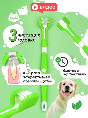 Стоматология для собак и кошек, удаление зубов животным в Москве