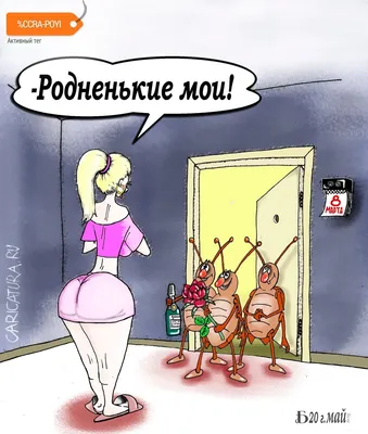 Карикатура «8 марта», Андрей Береснев. В своей авторской подборке.  Карикатуры, комиксы, шаржи