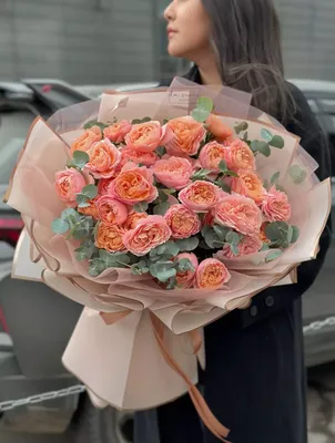 ROSES - питомник