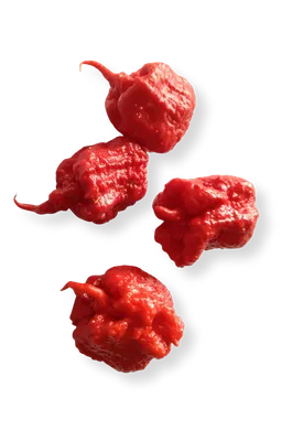 Smokin' Ed's Carolina Reaper® Seeds – PuckerButt Pepper Company