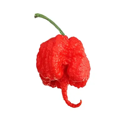 Carolina Reaper – Scoville Canada