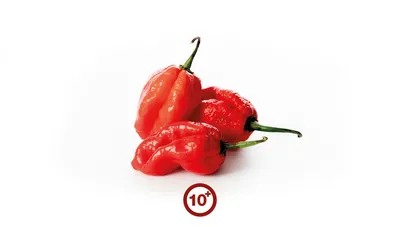 Pepper, Hot Carolina Reaper - Heirloom – Hometown Seeds