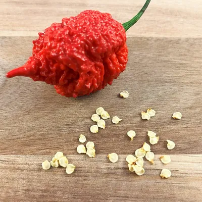 Dried Carolina Reaper Pepper- Extremely Spicy | GoldenTLeaf