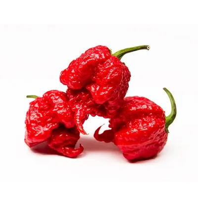 Carolina Reaper – West Coast Seeds